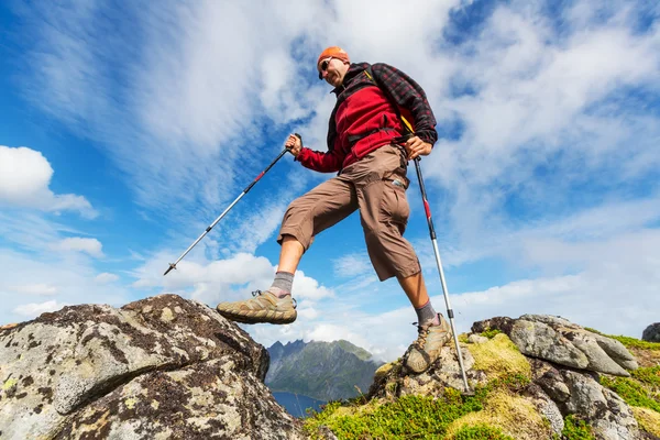 Wandelen in lofoten — Stockfoto