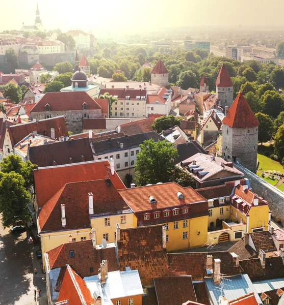 TALLINN Ordförande — Stockfoto