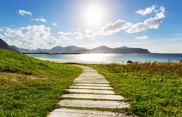 Trilha para praia em Lofoten — Fotografia de Stock