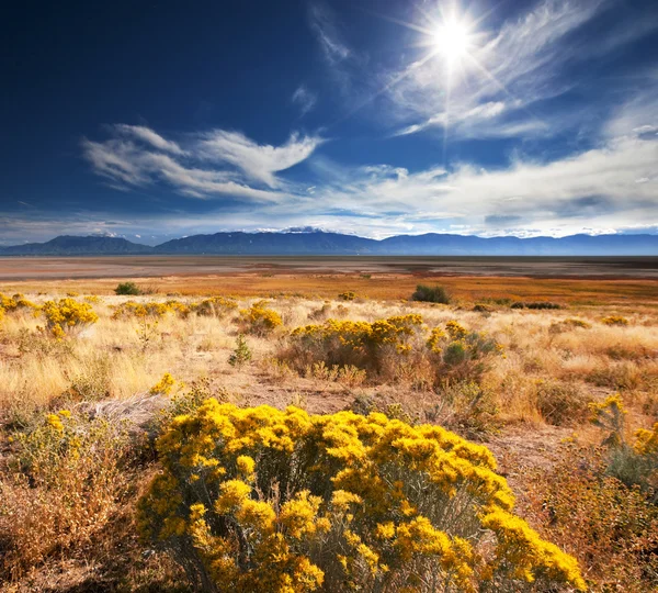 Preria piękny krajobraz — Zdjęcie stockowe