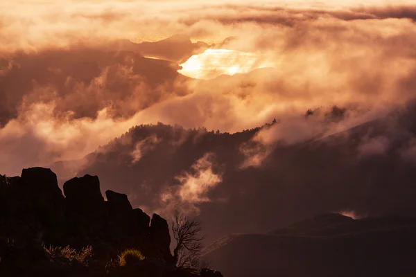 Горы Мадейры — стоковое фото
