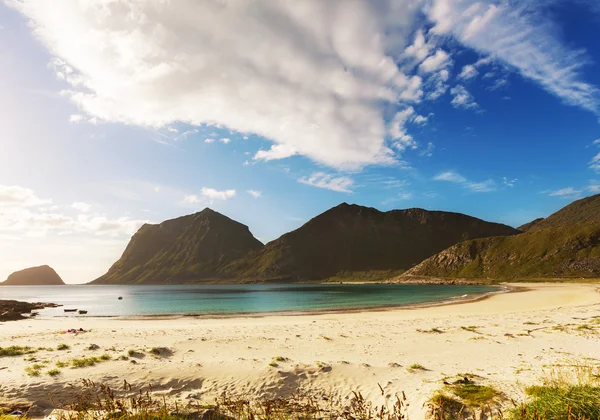 Lofoten sahilde — Stok fotoğraf