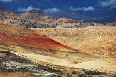 Derma hills