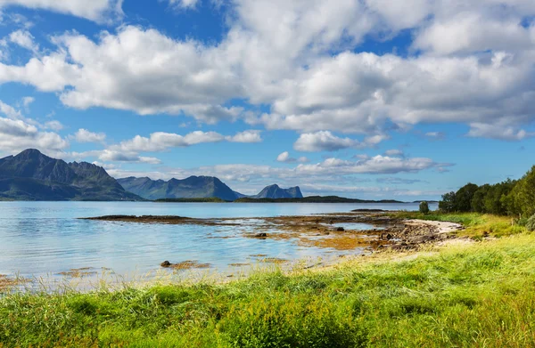 Senja island — Stock Photo, Image