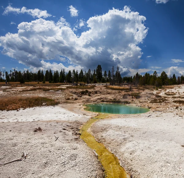 Yellowstone. — Foto de Stock