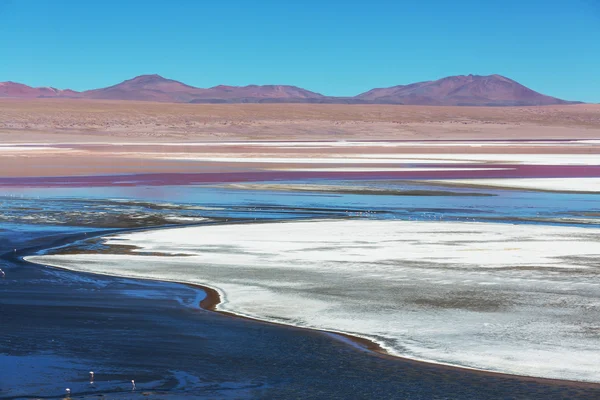 Berge in Bolivien — Stockfoto