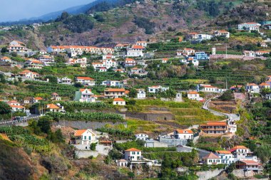 Madeira Adası
