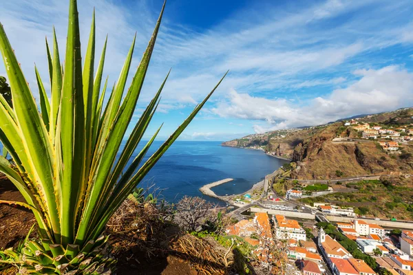 Madeira Adası — Stok fotoğraf