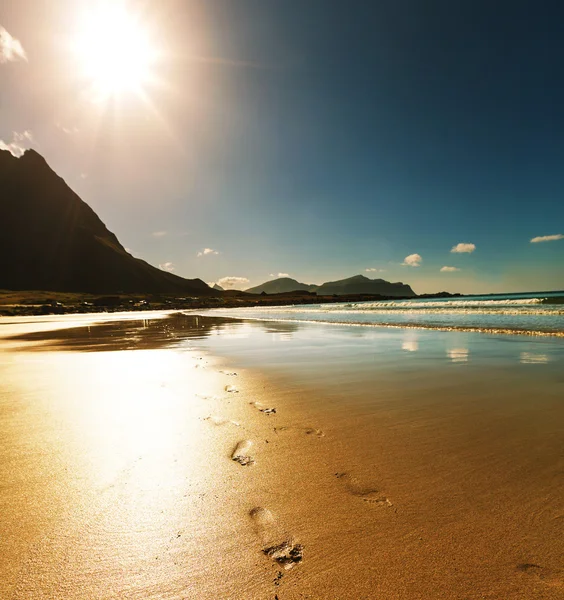 Praia em Lofoten — Fotografia de Stock