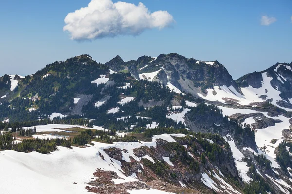 Mt.Baker peyzaj — Stok fotoğraf