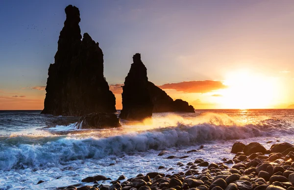 Costa de Madeira — Foto de Stock