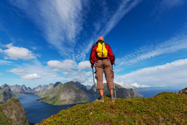 Lofoten zammı