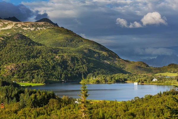 Lofoten — Stock fotografie