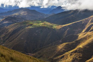 Bolivya'daki alanları