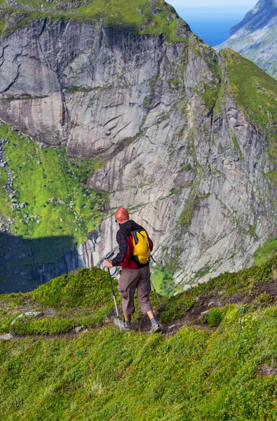 Wandelen in lofoten — Stockfoto