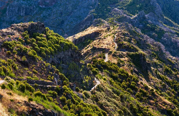 Montanhas na madeira — Fotografia de Stock