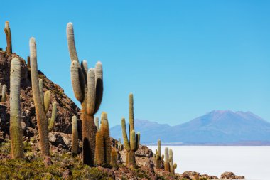 Salar de Uyuni