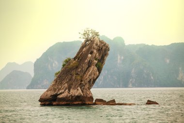 Halong