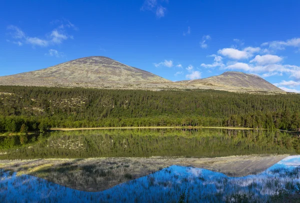 Góry w Norwegii — Zdjęcie stockowe