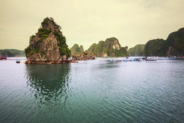 Halong — Stock Photo, Image