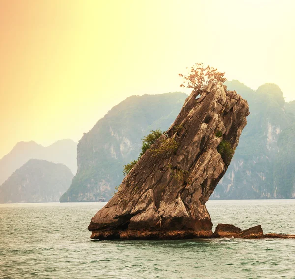 Halong — Stockfoto