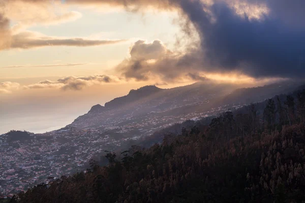 Madeira — Stockfoto