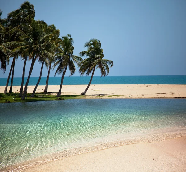 Tropical beach — Stock Photo, Image