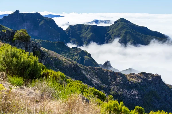 Mountains in Madeira — Stock Photo, Image