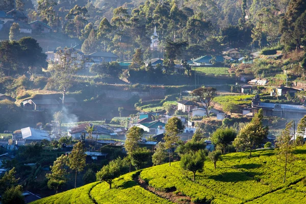 Çay plantasyon — Stok fotoğraf