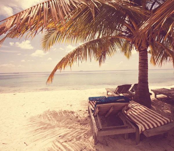 Beach scene — Stock Photo, Image