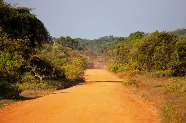 Safari på sri lanka — Stockfoto