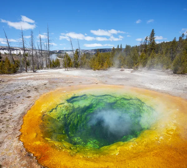 Morning glory pool — Stockfoto