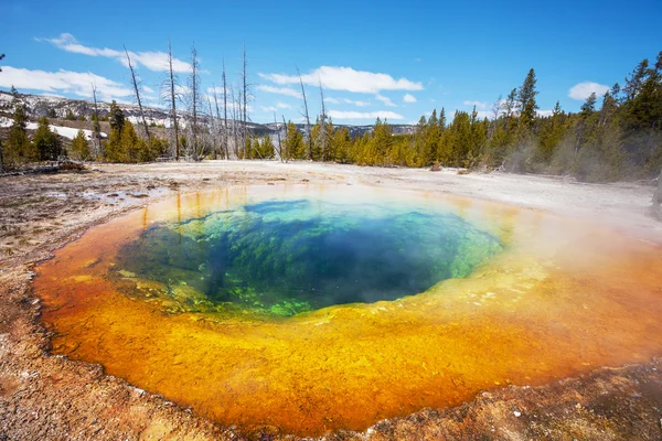 Morning Glory Pool — Stock Photo, Image