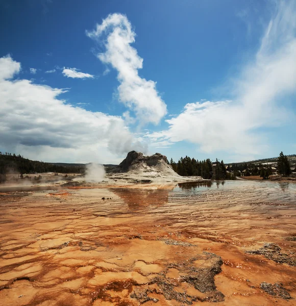 Géiser en Yellowstone —  Fotos de Stock