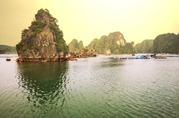 Halong — Stock Photo, Image