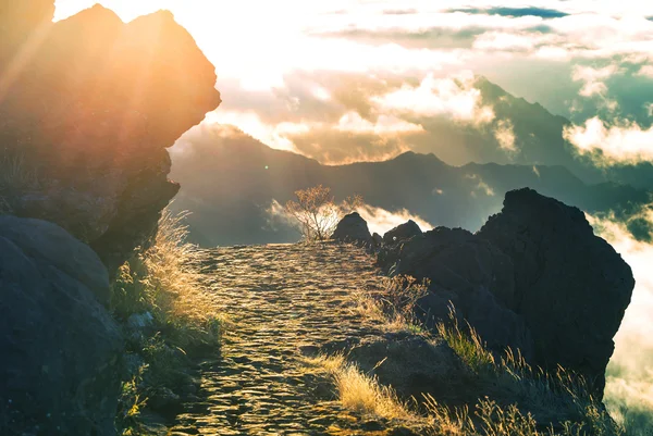 Bergen in madeira — Stockfoto