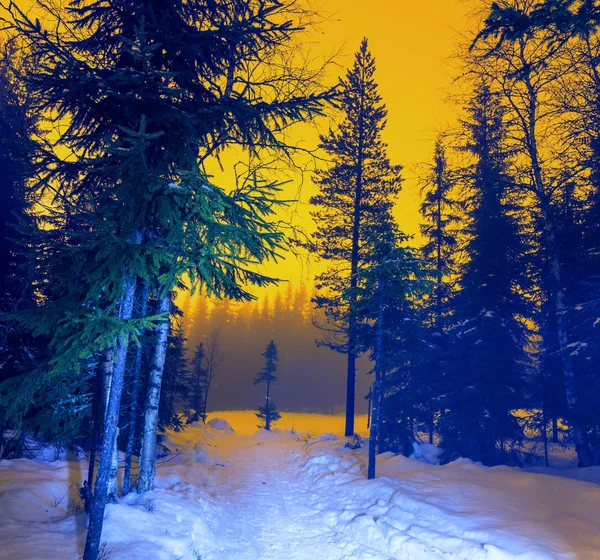 Estación de esquí por la noche —  Fotos de Stock