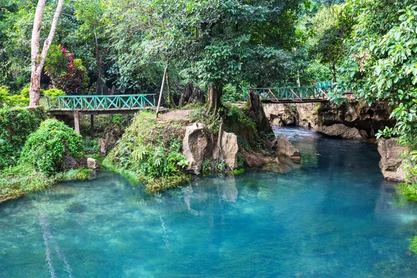 Brug in jungle — Stockfoto