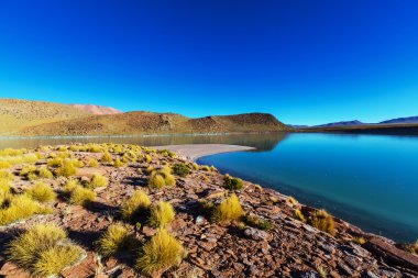 Bolivya'daki dağlar