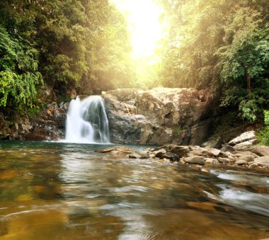 şelale üzerinde sri lanka