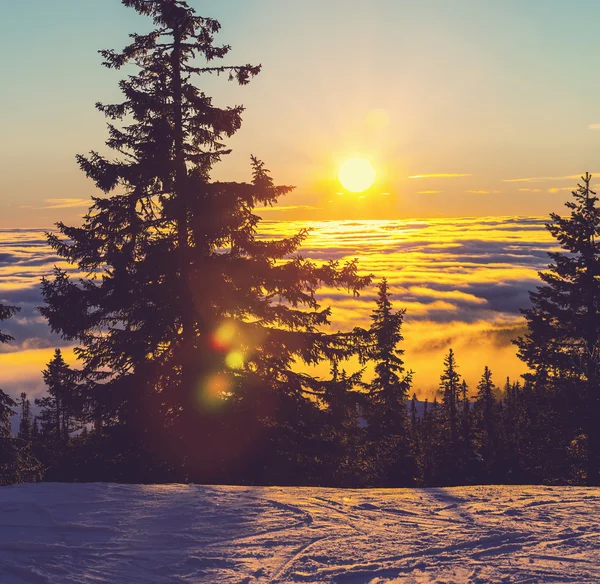 Inverno in montagna — Foto Stock