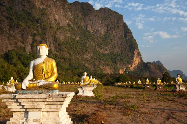 Buddhas trädgård — Stockfoto