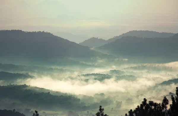 Sri lanka landschappen — Stockfoto