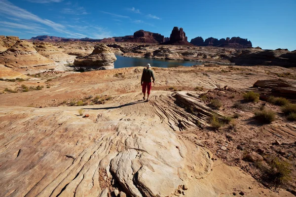 Lago Powell — Foto Stock