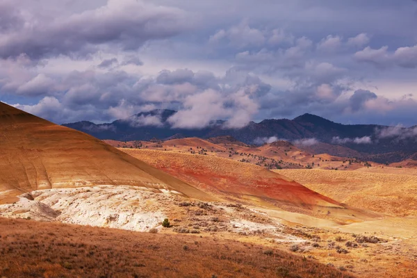 カラフルな丘 — ストック写真