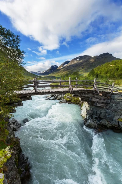 Norveç 'te nehir — Stok fotoğraf
