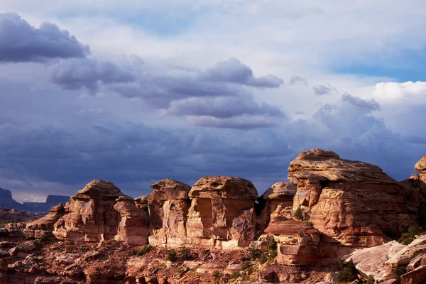 Canyonlands — Stock Photo, Image