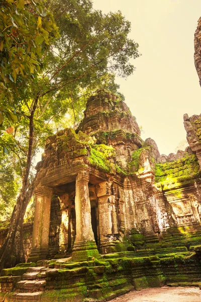 Angkor — Stock fotografie