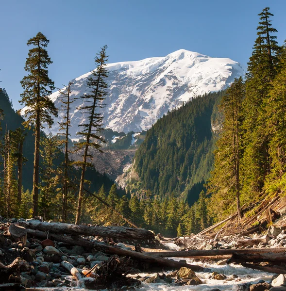 Mountain Rainier — Stock Photo, Image