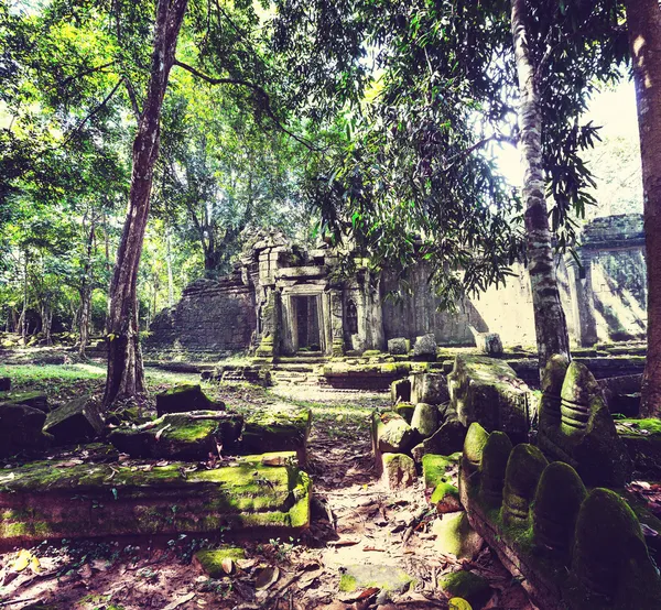 Angkor. —  Fotos de Stock